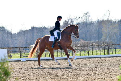 Reitsportzentrum Bremervörde | 170421 Dressur S+_031 