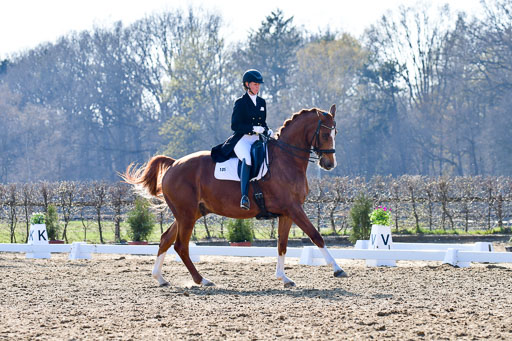 Reitsportzentrum Bremervörde | 170421 Dressur S+_032 