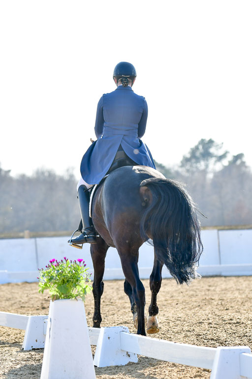 Reitsportzentrum Bremervörde | 170421 Dressur S+_035 