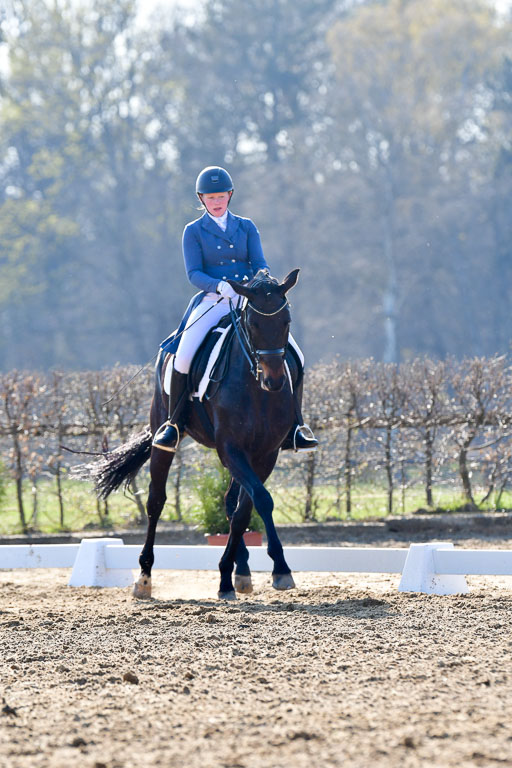 Reitsportzentrum Bremervörde | 170421 Dressur S+_037 