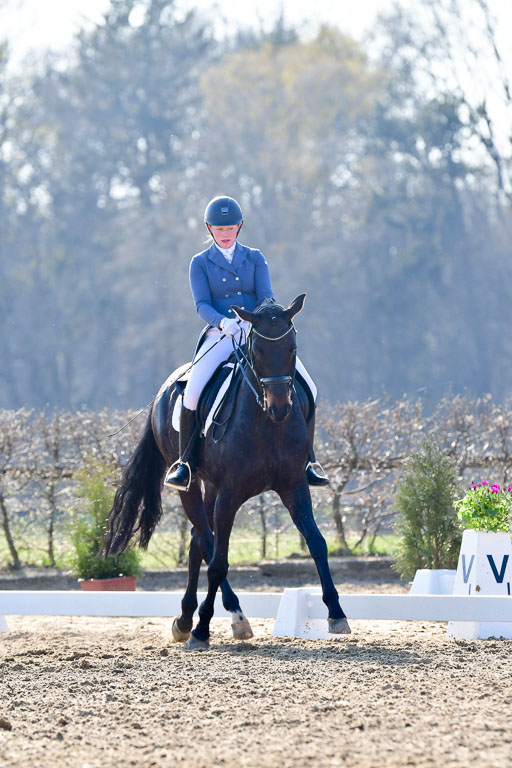 Reitsportzentrum Bremervörde | 170421 Dressur S+_038 