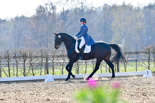 Reitsportzentrum Bremervörde | 170421 Dressur S+_040 