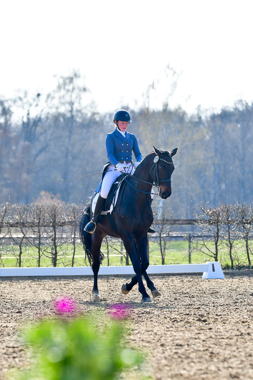 Reitsportzentrum Bremervörde | 170421 Dressur S+_041 