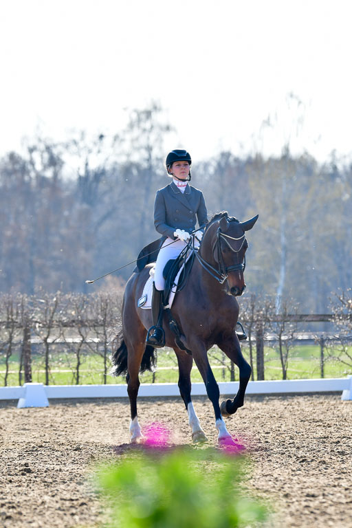 Reitsportzentrum Bremervörde | 170421 Dressur S+_050 