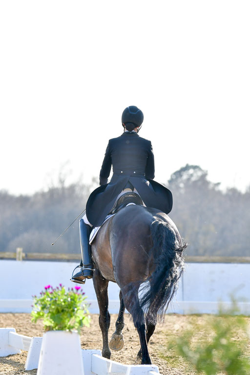 Reitsportzentrum Bremervörde | 170421 Dressur S+_068 