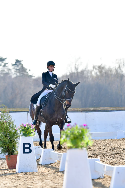 Reitsportzentrum Bremervörde | 170421 Dressur S+_077 