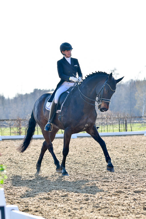 Reitsportzentrum Bremervörde | 170421 Dressur S+_078 