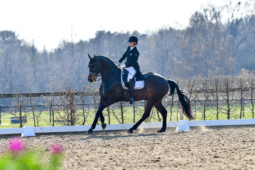 Reitsportzentrum Bremervörde | 170421 Dressur S+_080 