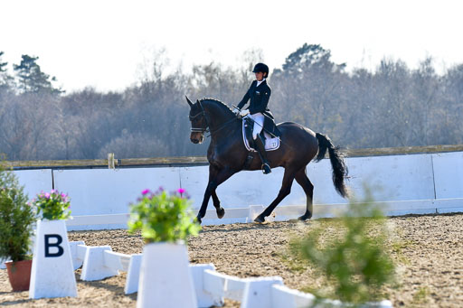 Reitsportzentrum Bremervörde | 170421 Dressur S+_084 