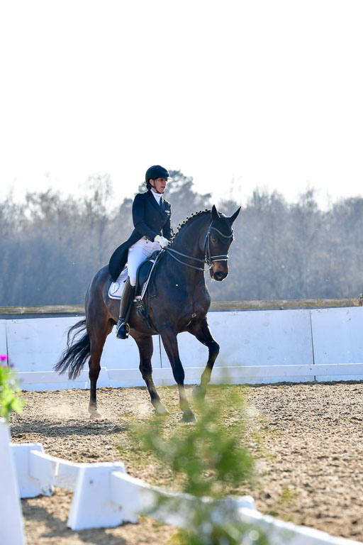 Reitsportzentrum Bremervörde | 170421 Dressur S+_085 