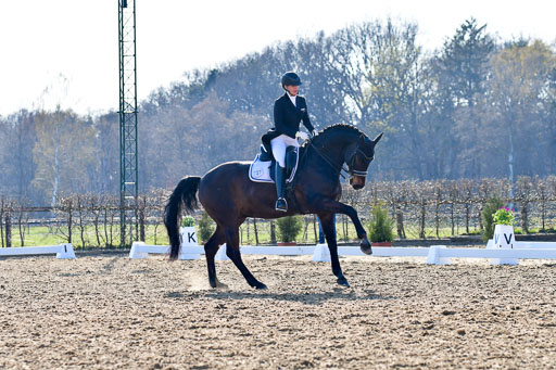 Reitsportzentrum Bremervörde | 170421 Dressur S+_088 