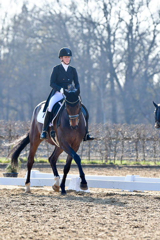 Reitsportzentrum Bremervörde | 170421 Dressur S+_100 