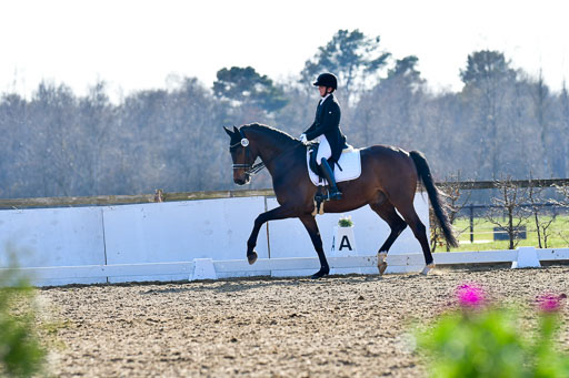 Reitsportzentrum Bremervörde | 170421 Dressur S+_102 