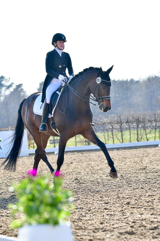 Reitsportzentrum Bremervörde | 170421 Dressur S+_103 