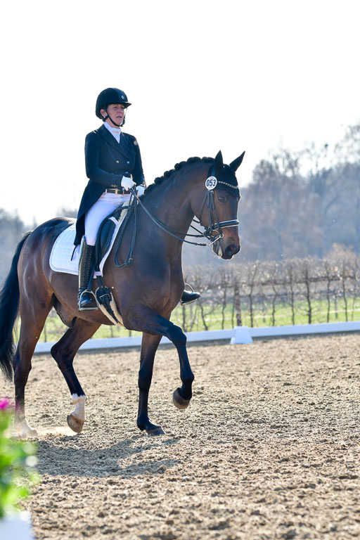 Reitsportzentrum Bremervörde | 170421 Dressur S+_104 