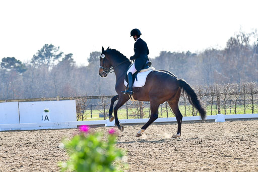 Reitsportzentrum Bremervörde | 170421 Dressur S+_106 