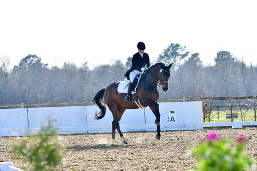 Reitsportzentrum Bremervörde | 170421 Dressur S+_107 
