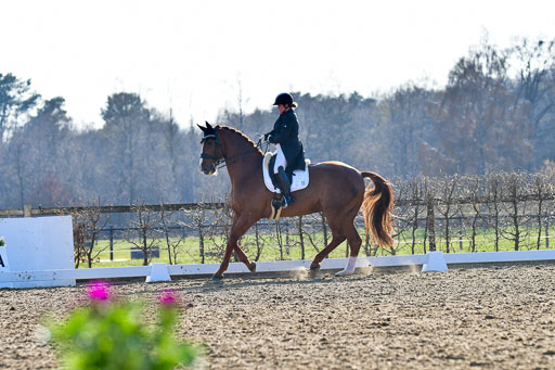 Reitsportzentrum Bremervörde | 170421 Dressur S+_111 