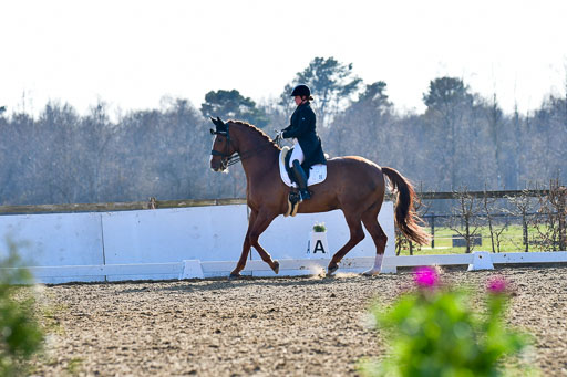 Reitsportzentrum Bremervörde | 170421 Dressur S+_112 
