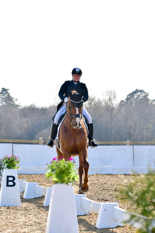 Reitsportzentrum Bremervörde | 170421 Dressur S+_113 