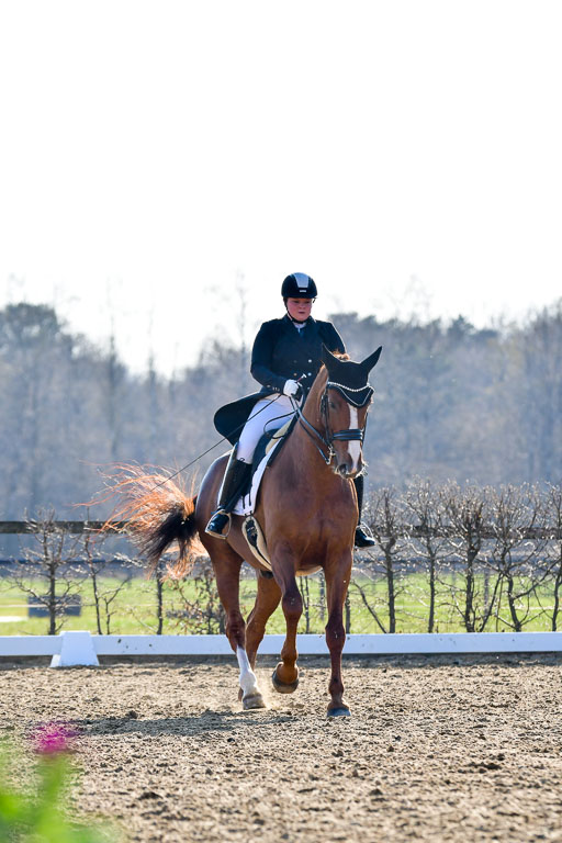 Reitsportzentrum Bremervörde | 170421 Dressur S+_115 