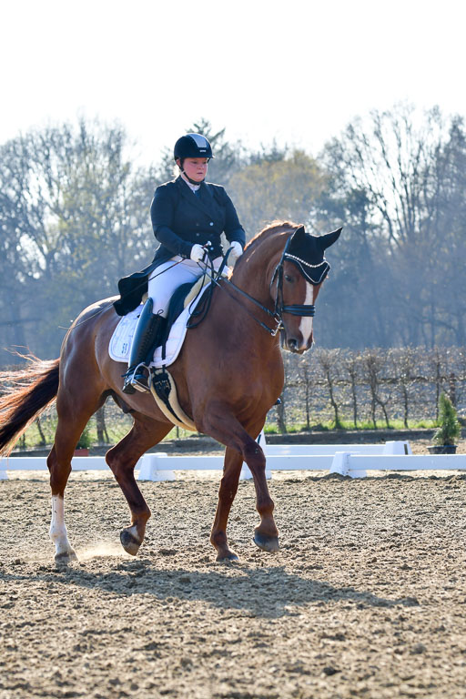 Reitsportzentrum Bremervörde | 170421 Dressur S+_117 