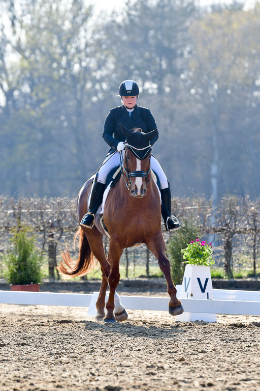 Reitsportzentrum Bremervörde | 170421 Dressur S+_118 