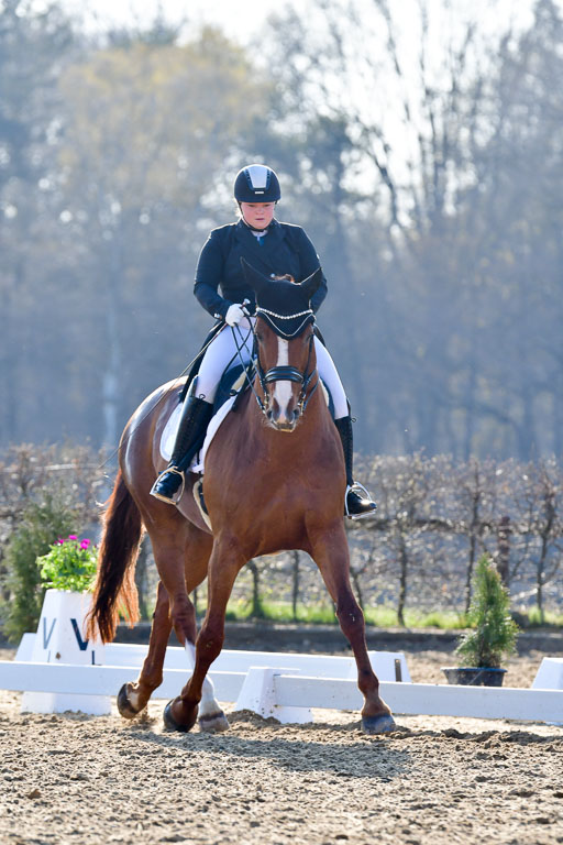 Reitsportzentrum Bremervörde | 170421 Dressur S+_120 