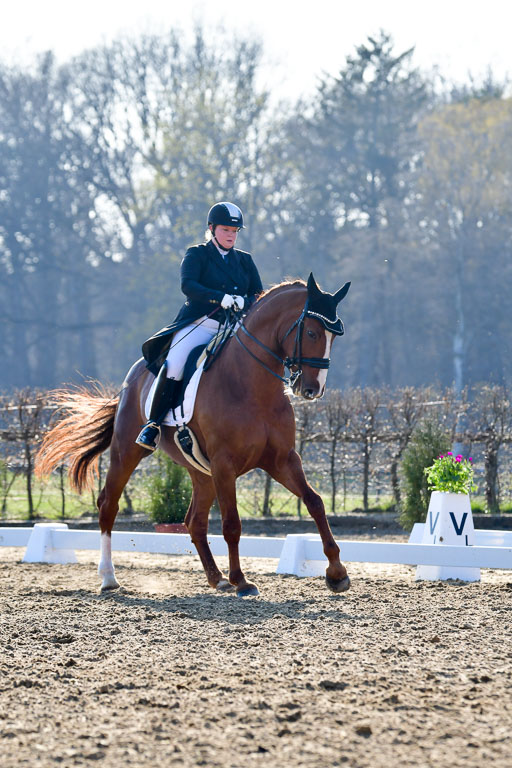 Reitsportzentrum Bremervörde | 170421 Dressur S+_122 