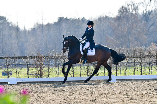 Reitsportzentrum Bremervörde | 170421 Dressur S+_136 
