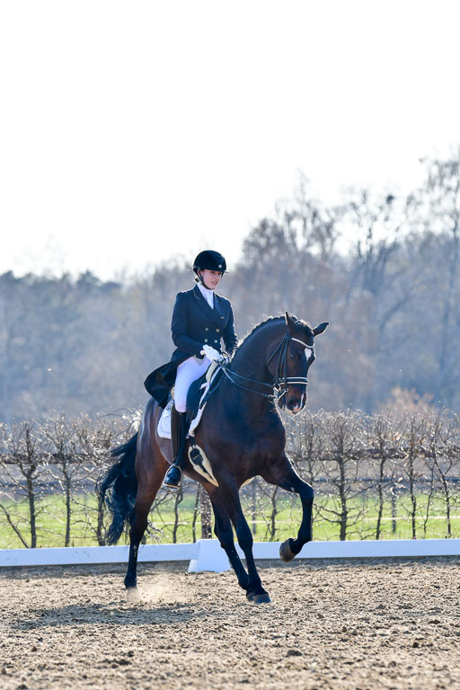 Reitsportzentrum Bremervörde | 170421 Dressur S+_137 