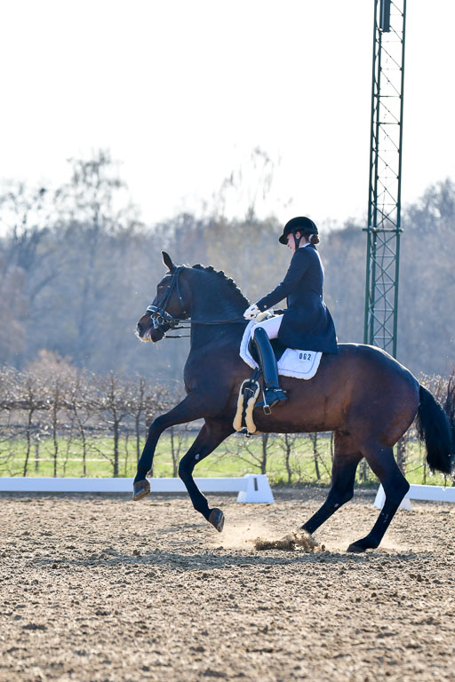 Reitsportzentrum Bremervörde | 170421 Dressur S+_140 