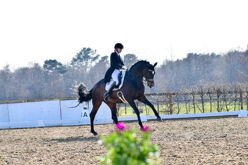 Reitsportzentrum Bremervörde | 170421 Dressur S+_141 