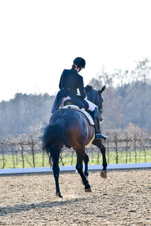 Reitsportzentrum Bremervörde | 170421 Dressur S+_143 