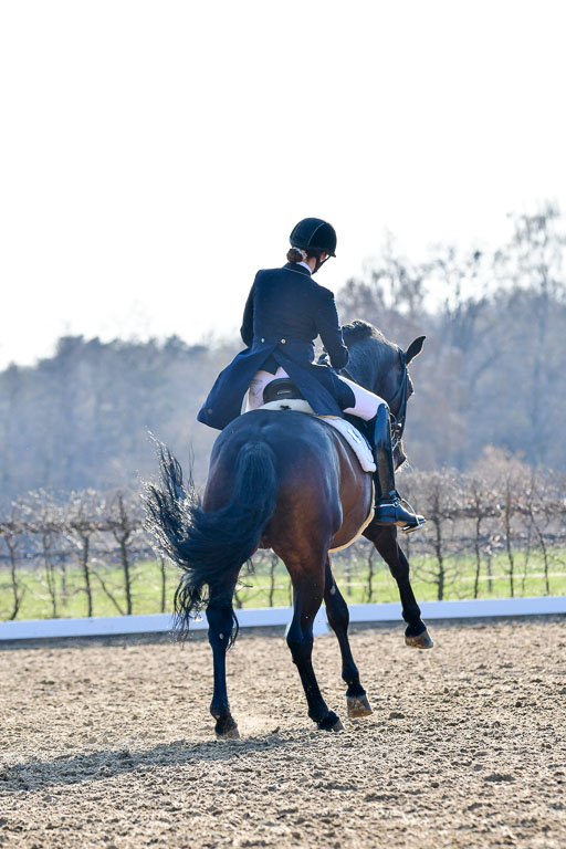Reitsportzentrum Bremervörde | 170421 Dressur S+_144 