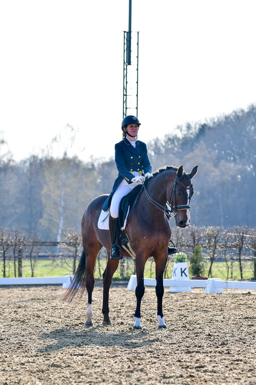 Reitsportzentrum Bremervörde | 170421 Dressur S+_147 