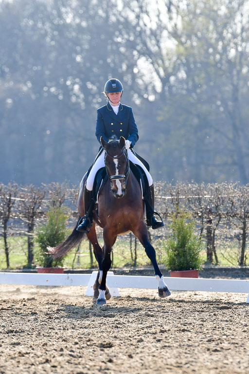Reitsportzentrum Bremervörde | 170421 Dressur S+_150 