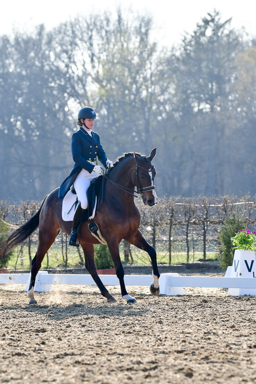 Reitsportzentrum Bremervörde | 170421 Dressur S+_156 