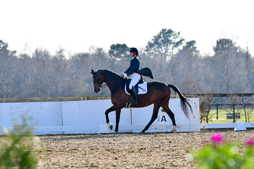 Reitsportzentrum Bremervörde | 170421 Dressur S+_157 