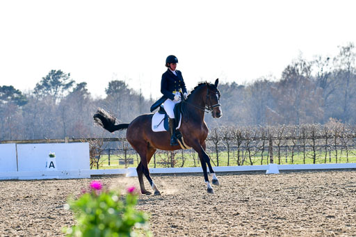 Reitsportzentrum Bremervörde | 170421 Dressur S+_158 