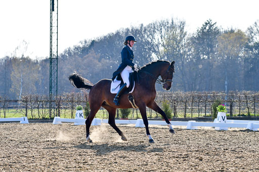 Reitsportzentrum Bremervörde | 170421 Dressur S+_159 