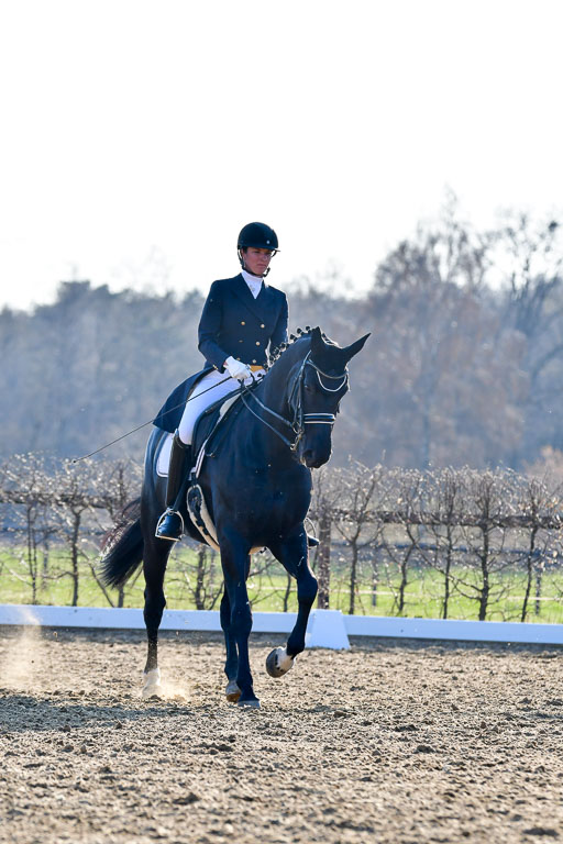 Reitsportzentrum Bremervörde | 170421 Dressur S+_160 