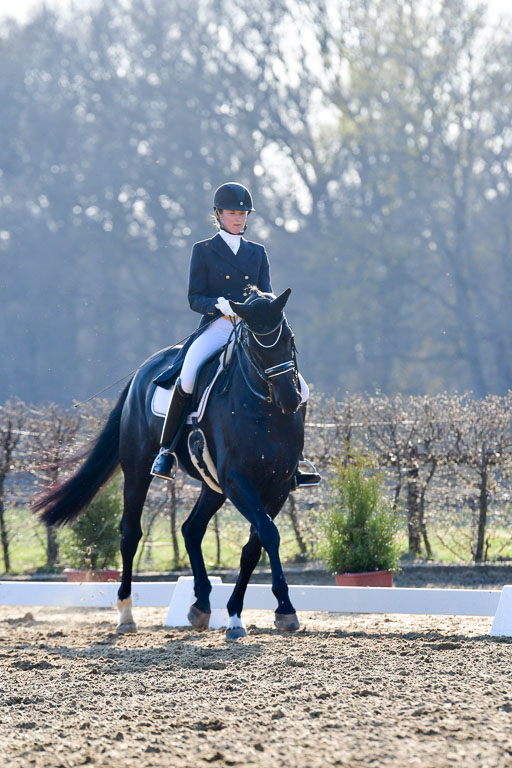 Reitsportzentrum Bremervörde | 170421 Dressur S+_163 