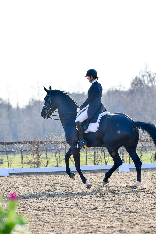 Reitsportzentrum Bremervörde | 170421 Dressur S+_166 