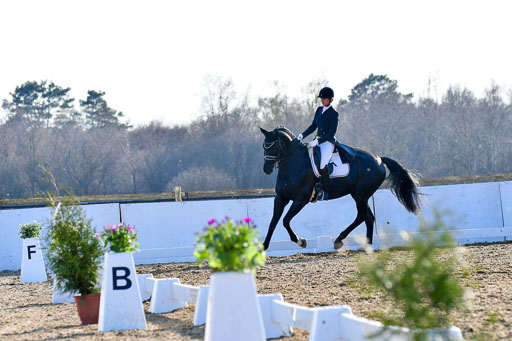Reitsportzentrum Bremervörde | 170421 Dressur S+_167 