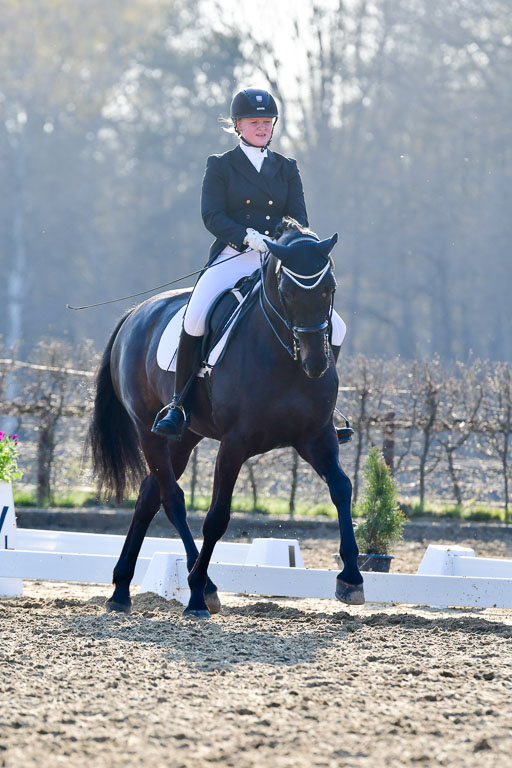 Reitsportzentrum Bremervörde | 170421 Dressur S+_172 