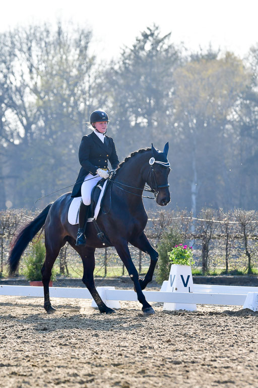 Reitsportzentrum Bremervörde | 170421 Dressur S+_175 