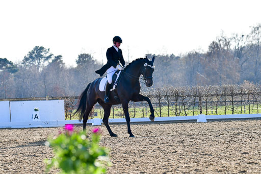 Reitsportzentrum Bremervörde | 170421 Dressur S+_177 