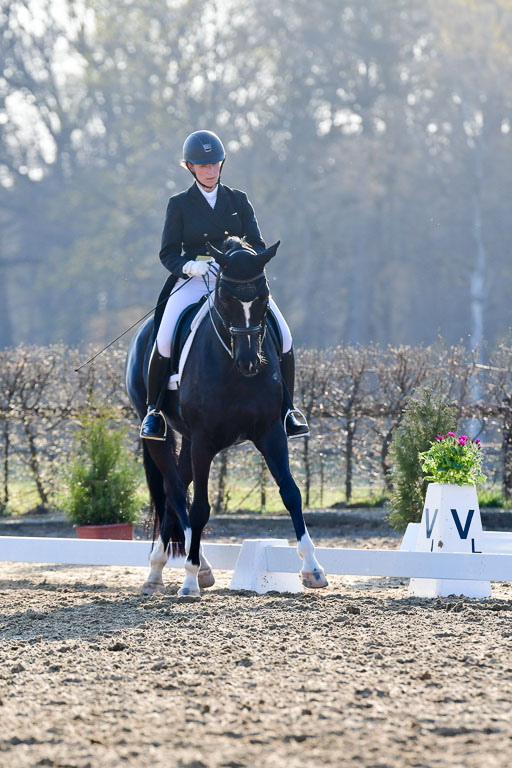 Reitsportzentrum Bremervörde | 170421 Dressur S+_182 