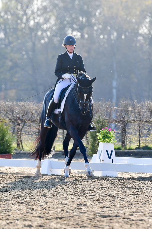 Reitsportzentrum Bremervörde | 170421 Dressur S+_183 